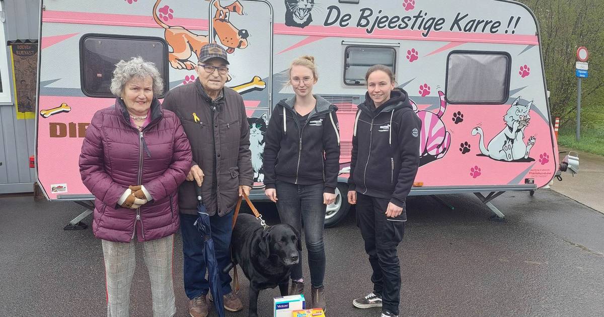Un chien adopté sauve Willy (85 ans) et Marie-Louise (84 ans) de la suffocation : « Il n’arrêtait pas d’aboyer et de pleurer, sans Bella, nous ne serions peut-être plus là » |  Ingelmünster