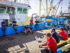 Wat is het geheim van Urk, het beste jongetje van de coronaklas? ‘We eten hier veel vis’