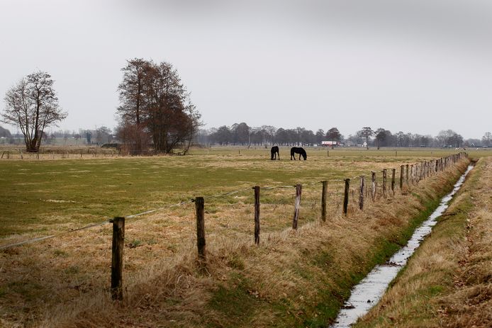 Op Beekbergsebroek moeten toch geen windmolens komen, corrigeert D66 zichzelf.