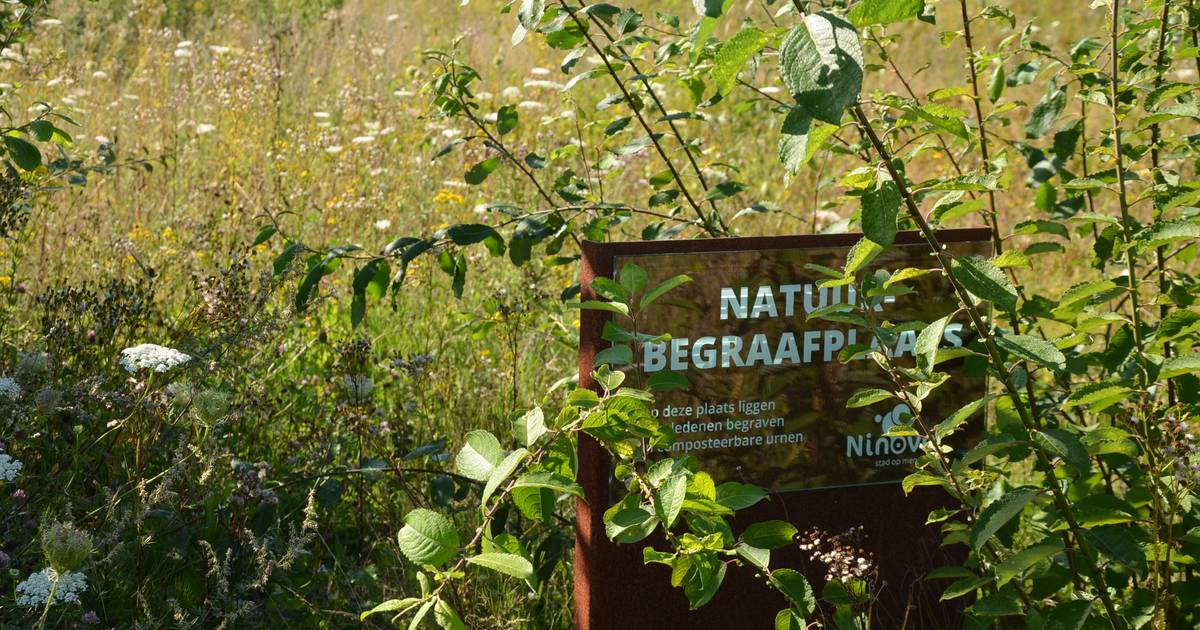 Gemeente legt natuurbegraafplaats aan langs Oude Arendonkse Baan Oud