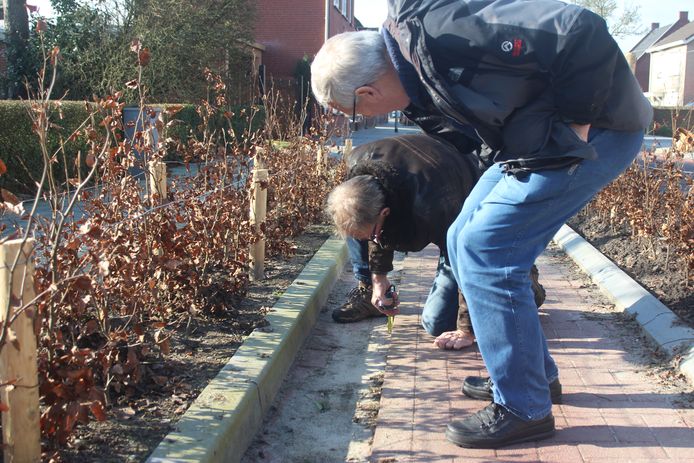 Piet Brosens (zittend) en Nico Geers van de Fietsersbond nemen een kijkje in de Sint Jansstraat. Niet alleen op de plek van het ongeluk van Saskia Hontelé zijn ze ontevreden over de situatie. ,,Toen ik het uitprobeerde viel ik zelf ook al bijna door dat gootje.''