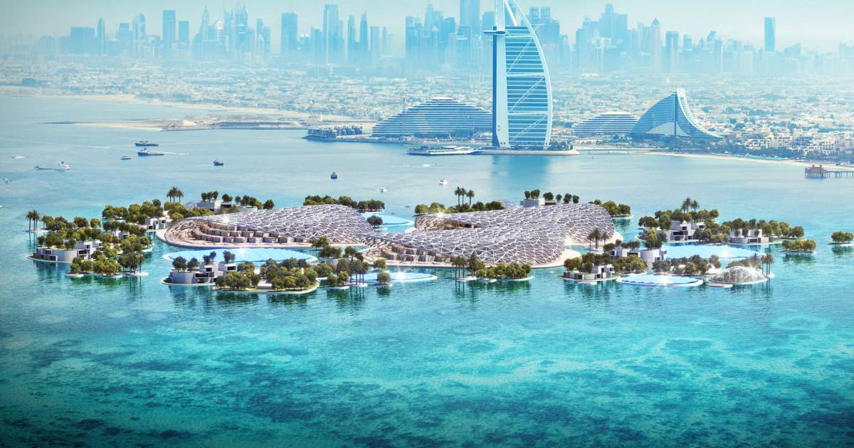 Kabir, they can do it in Dubai: Will this be the world’s largest ocean restoration project?  |  Science and the planet