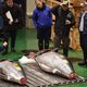 Record: Japanse chef betaalt 2,7 miljoen euro voor blauwvintonijn van 278 kilo