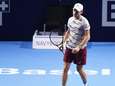 Del Potro a pris sa revanche sur Goffin