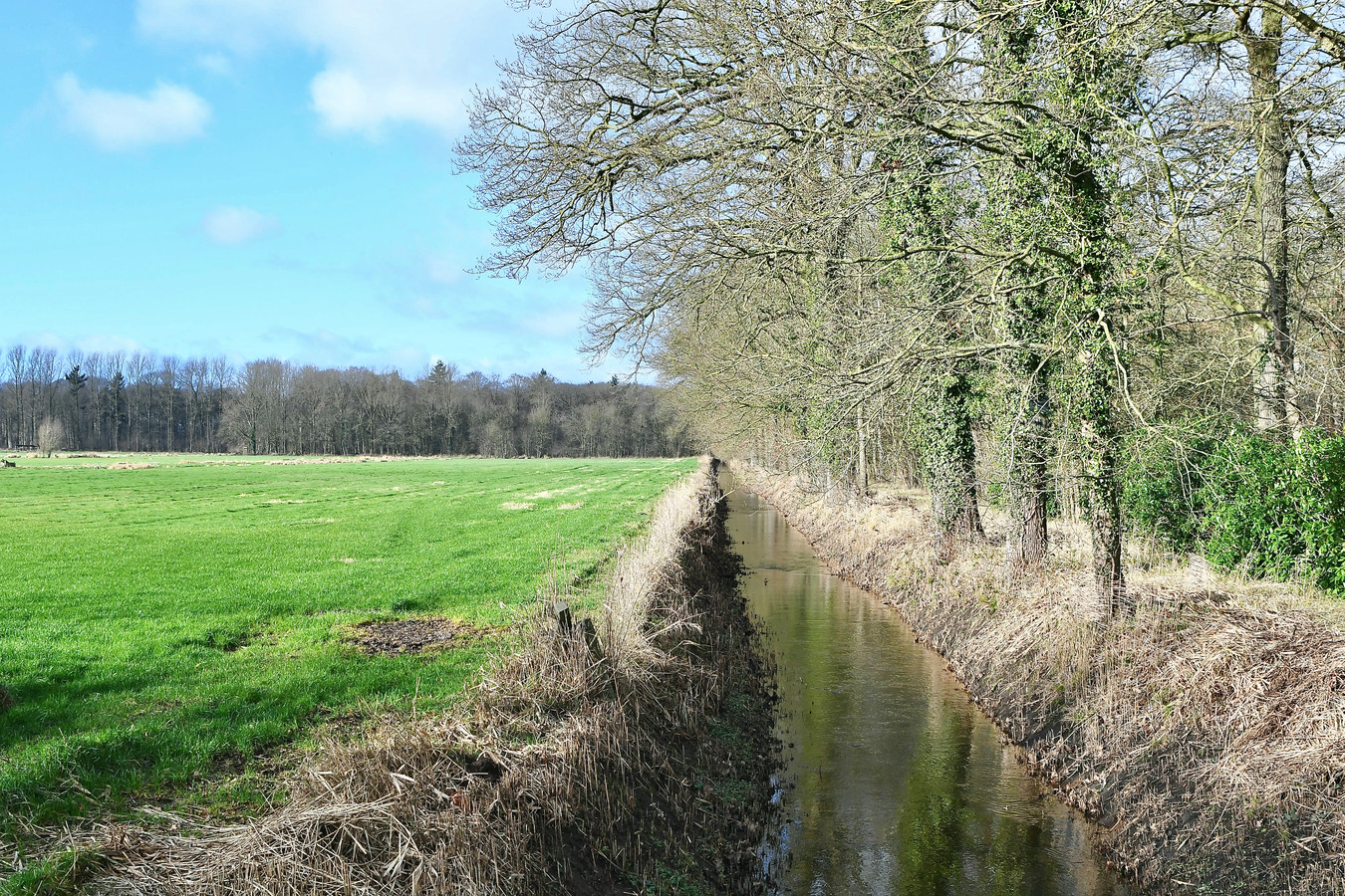 Madou vastgoed in Tielt biedt veel woningen aan in het landelijke Wingene.