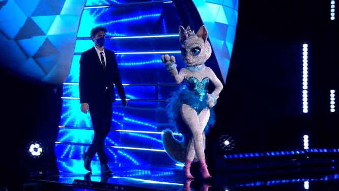 Weten we dankzij nieuwe look wie Miss Poes (niet) is?
