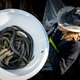 Maatregelen om paling te redden in Nederlandse wateren werken onvoldoende
