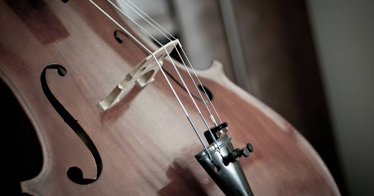 Viool, cello en piano klinken bij Podium Azijnfabriek in Den Bosch ...