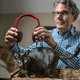 Cd speciaal voor katten blijkt een grote hit