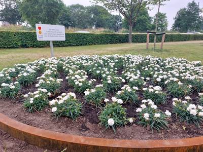 Onthulling monument bij ’t Kwartier Asten