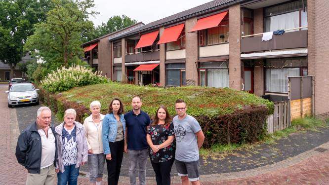 Buren balen van plannen De Schauwhof in Putten: 'We raken ons uitzicht kwijt'