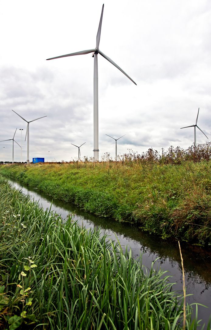 OOSTERHOUT - De zes windmolens op industrieterrein Weststad staan er sinds 2009. De molens zijn inclusief de rotorbladen 145 meter hoog. De drie nieuwe windmolens in de Oranjepolder zijn 235 meter hoog.
