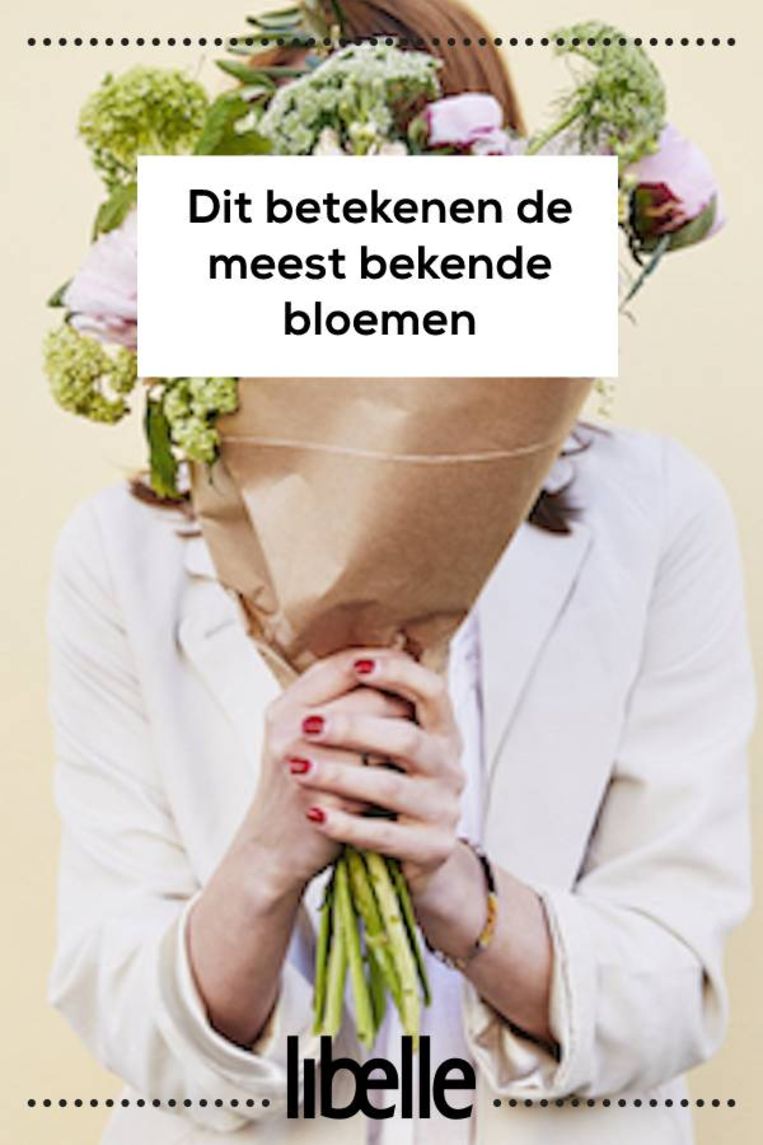Dit is de symbolische betekenis van de bekendste bloemen Libelle