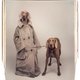 Hondenportretten over mens-zijn: fotograaf William Wegman is in de studio behalve het baasje ook de baas ★★★☆☆