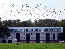 Pollux opent migrantenhuisvesting bij Nispen. 'Dit moet werknemers thuisgevoel geven'