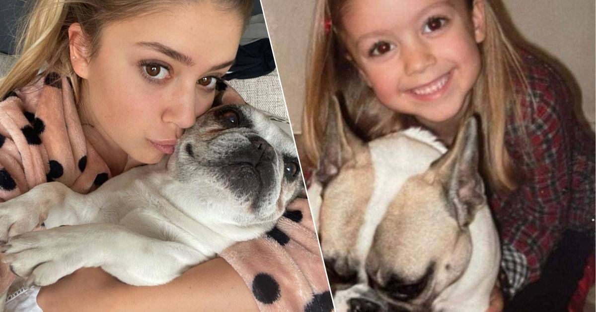ジータ・ワウタース、愛犬ジュリークに別れを告げる：「私の心は傷つきました」 株式会社