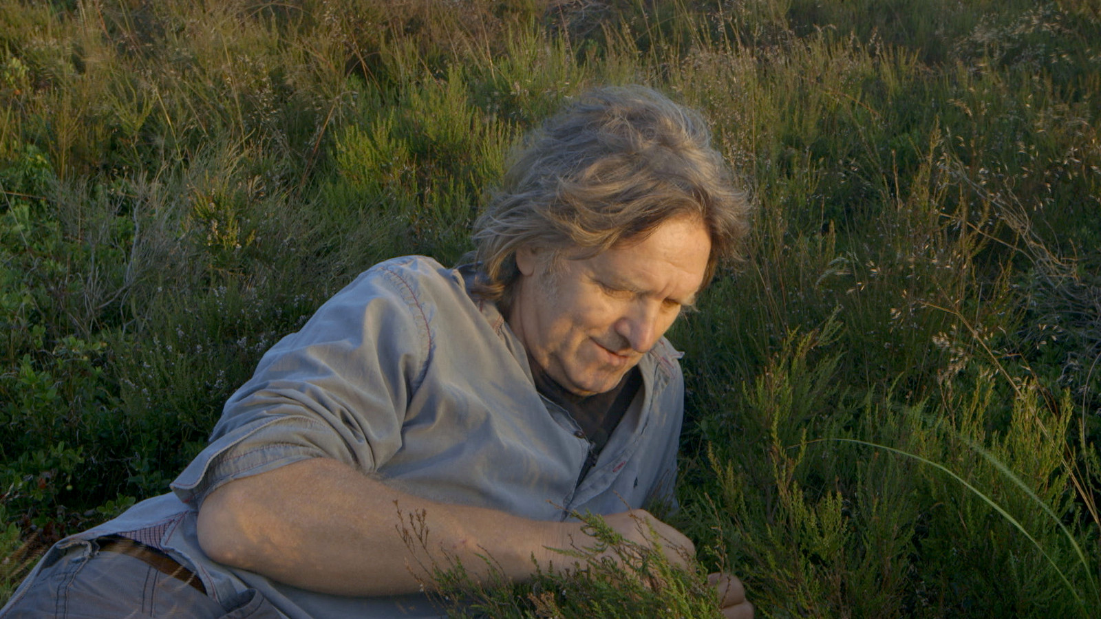 Still uit de documentaire Oerijssel van Geertjan Lassche. Daarin beleeft Wim Toorneman de zonsopkomst op Zonnewende, op de Holterberg.