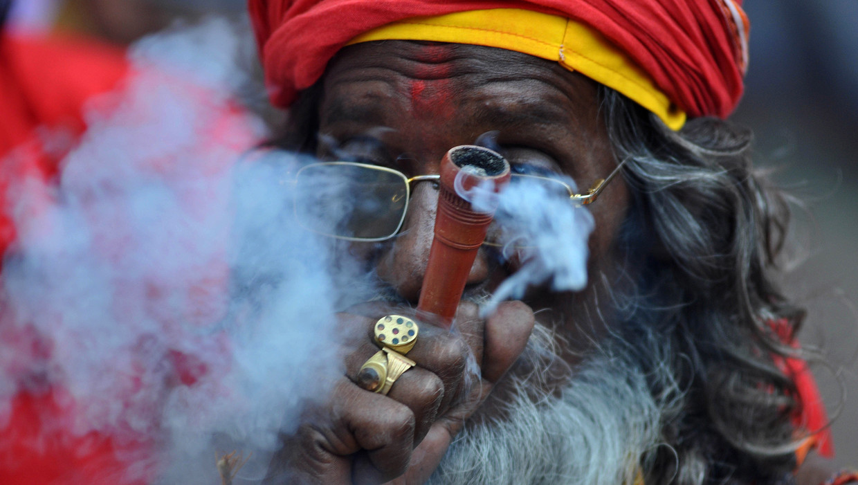 Een Indiase man rookt cannabis via een speciale pijp. Beeld afp