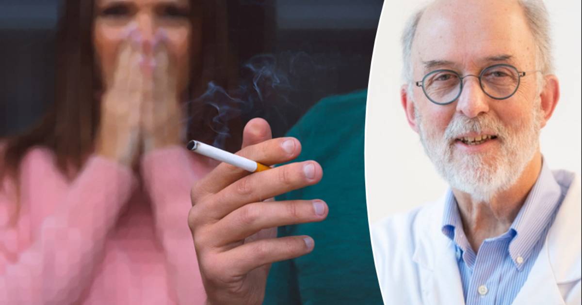 “The daily chat with your colleagues during the smoking break is riskier than you think”: how unhealthy is secondhand smoke?  |  Fit and healthy