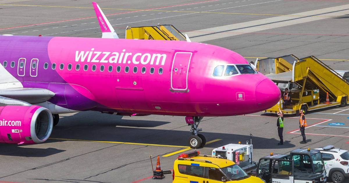 Vliegtuig keert terug naar Eindhoven Airport na botsing met een vogel.