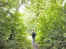 Niets is wat het lijkt op ongewone wandeling door Zegersloot
