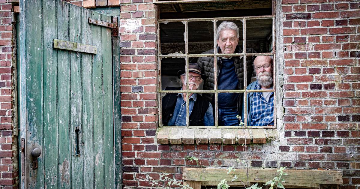 Popmuziektrio Wasserij Steensel viert jubileum met concert: ‘We gaan door tot we omvallen’