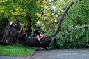 A resident climbs over a tree that was taken down and uprooted by a major storm in Ottawa, Canada, Saturday, May 21, 2022. (Justin Tang/The Canadian Press via AP)