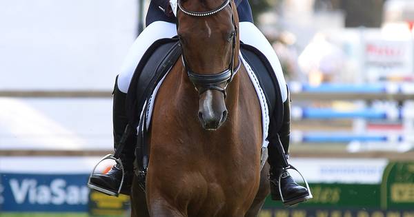 Minke van der Linden kringkampioen - De Gelderlander