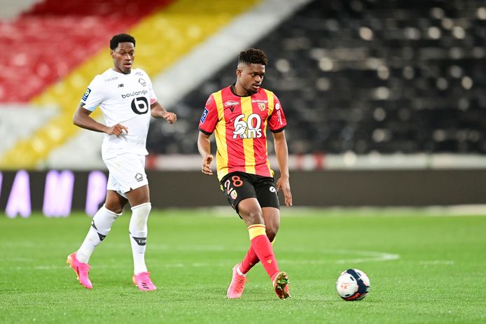 Notizie fotografiche