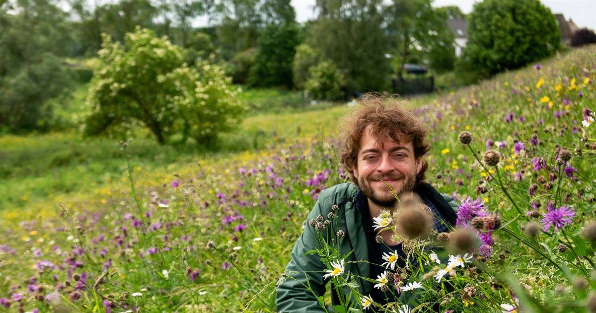 waarom insecten langzaam verhongeren door goedbedoelde acties voor natuur alphen ad nl