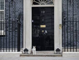 Wat gebeurt er nu na het ontslag van de Britse premier Boris Johnson?