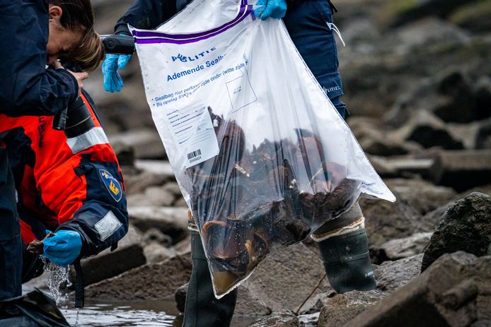 De schedels lagen zowel los in het water als in vuilniszakken.