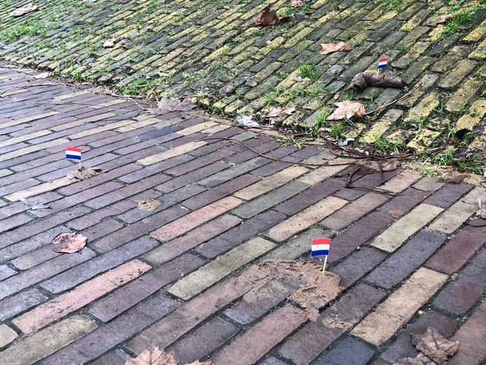 Helaas zagen mensen het toch niet allemaal op tijd