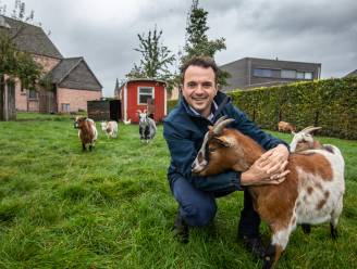 Marco Goossens, amper vijf weken burgemeester en al afgeschilderd als ‘wolvenhater’: “Nee, wij zijn niet anti-wolf, maar een omheind reservaat moet toch kunnen?”