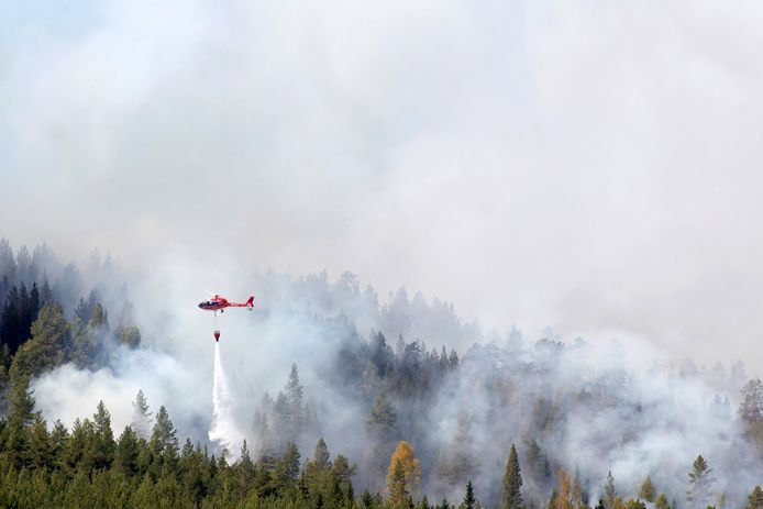 Eén van de gigantische bosbranden in Zweden.