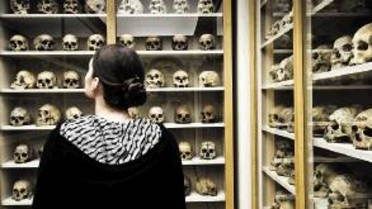 Darwinjaar-tentoonstelling in de Schirn Kunsthalle in Frankfurt. (AFP) Beeld 