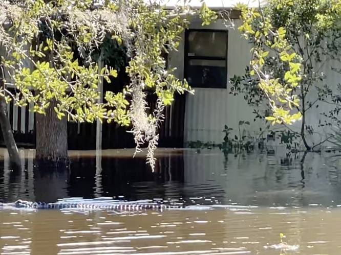 Orkaan Ian laat spoor van vernieling achter in Florida: voorlopig sprake van 21 doden, krokodillen zwemmen rond in straten