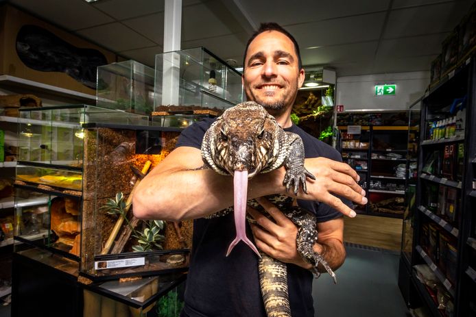 Pieter bouwt al 25 jaar mooiste terraria voor reptielen: 'Gaat verder dan plantjes een waterval' | | AD.nl