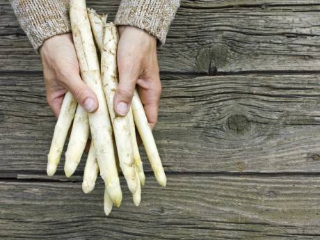 Aspergetelers klagen steen en been en hopen op slecht weer