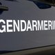 Vijfjarig meisje dood aangetroffen in vuilzak in Vogezen: tiener opgepakt