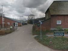 Heukeloms Hoefke breidt uit met 35 kampeerplaatsen en 17 appartementen voor vakantiegangers