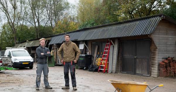 Hovenier uit Beek moet ‘verkapt bedrijventerrein’ verlaten: ‘We worden gewoon weggeveegd’