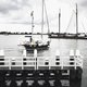 De Haringstad is zuinig met vis