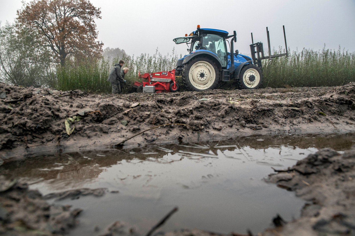 rampjaar-voor-boomkwekerijen-die-onder-water-staan-dit-hebben-we-nog
