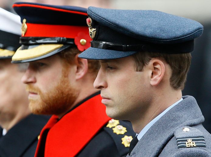 William en Harry zullen apart lopen.