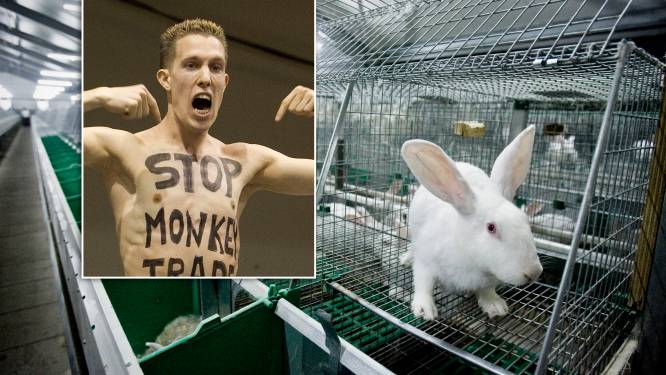 LTO vindt dat Vughtse ‘vegan streaker’ harder moet worden gestraft voor insluipen konijnenstal