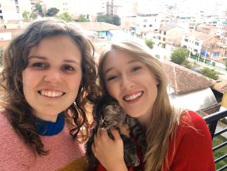 FAVV legt uit waarom kater Lee spuitje moet krijgen: “Voorgestelde alternatieven zijn genegeerd, België moet rabiësvrij blijven”