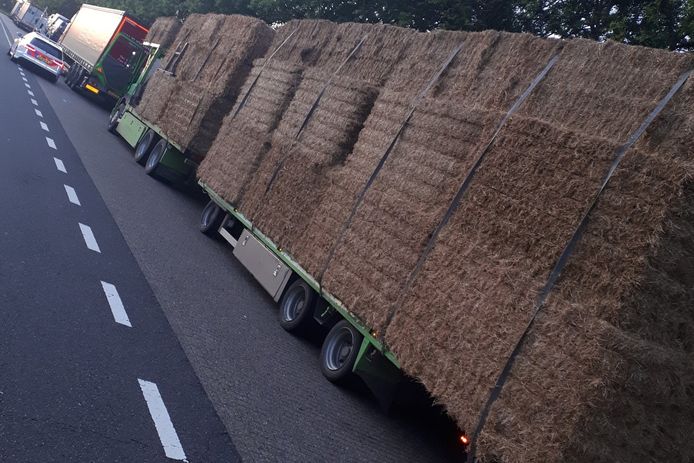 De combinatie was te hoog, te breed en te lang. Het rijbewijs van de beroepschauffeur verlopen en de tachograaf niet meer geldig.