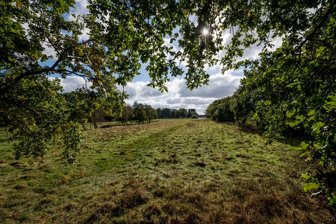 Hier, in het Eschmarkerveld, moesten 600 huizen komen en misschien nog wel wat meer. Maar stikstof gooit vooralsnog roet in het eten.