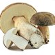 Geroosterde paddestoelen in citroen-chili-olie